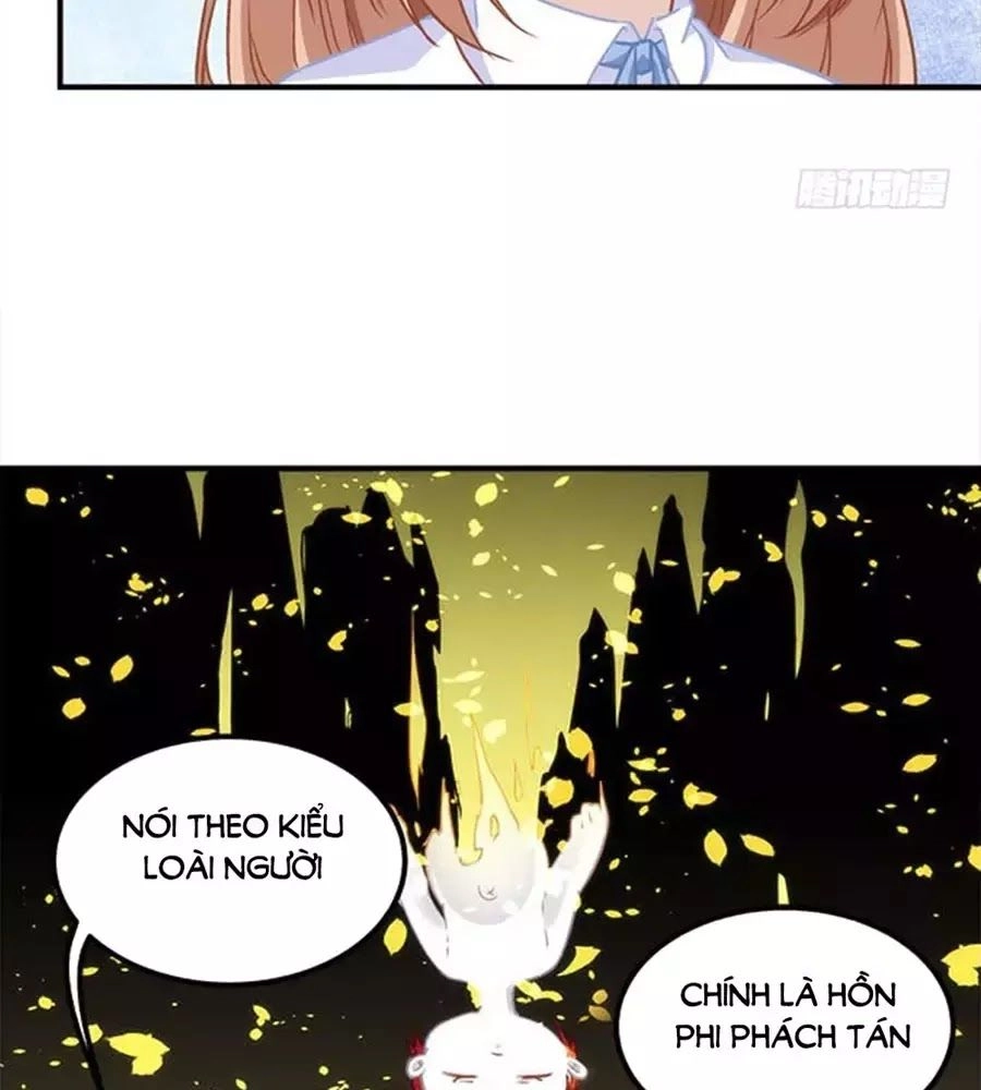 Ám Dạ Vô Thường Chapter 40 - 34