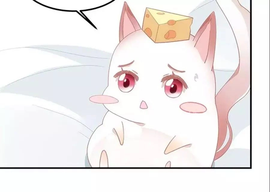 Ám Dạ Vô Thường Chapter 50 - 72