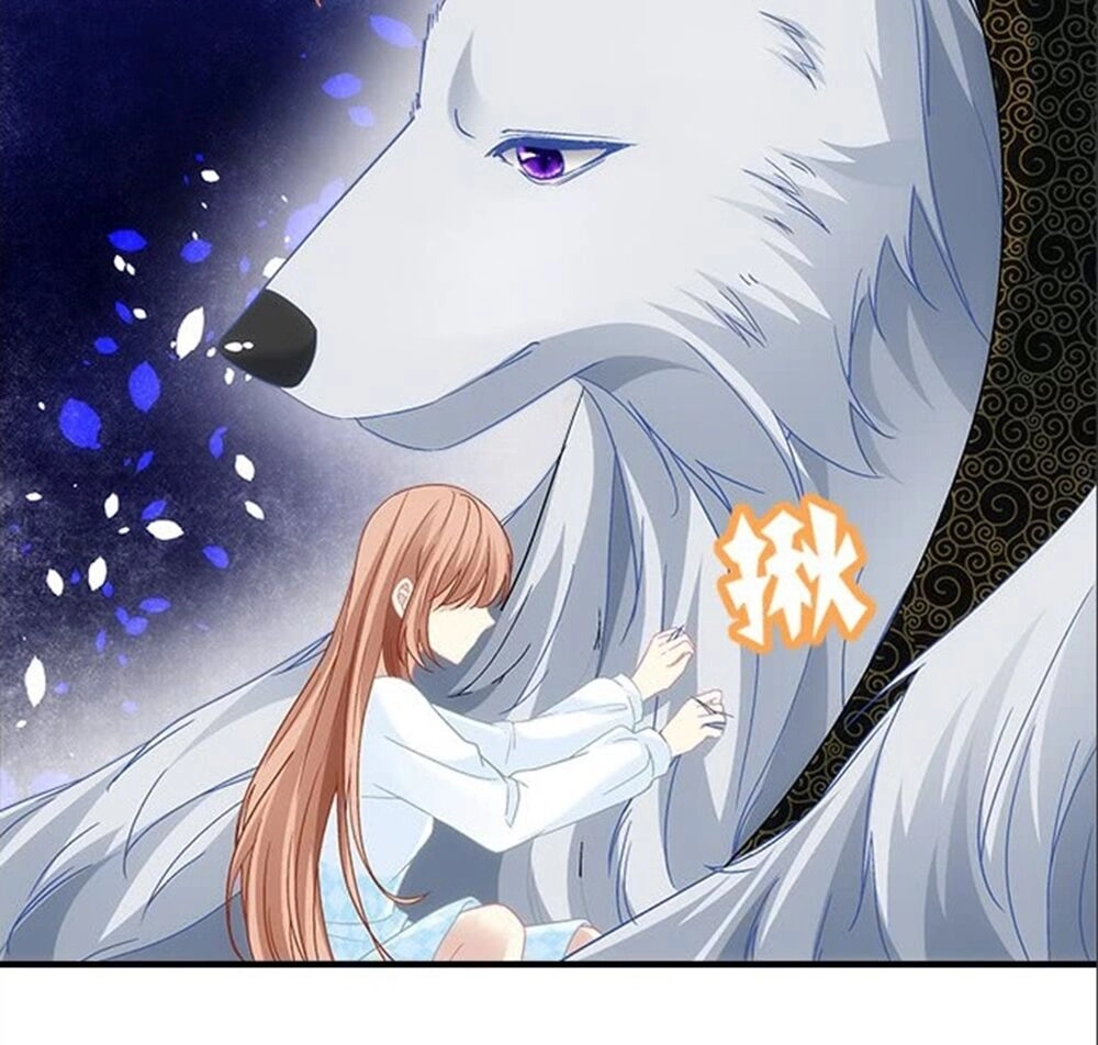 Ám Dạ Vô Thường Chapter 70 - 31