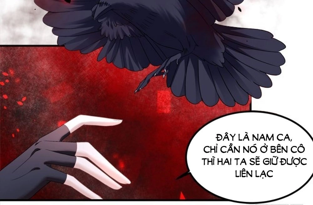 Ám Dạ Vô Thường Chapter 78 - 31