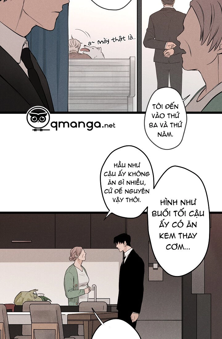 Trốn Tìm Chapter 1 - 28