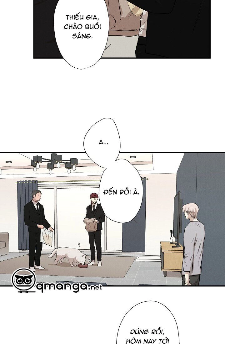 Trốn Tìm Chapter 19 - 7