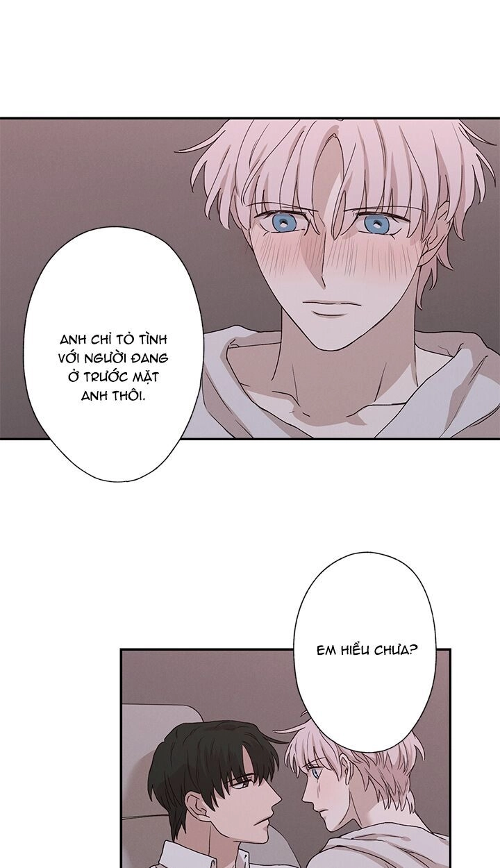 Trốn Tìm Chapter 22 - 31