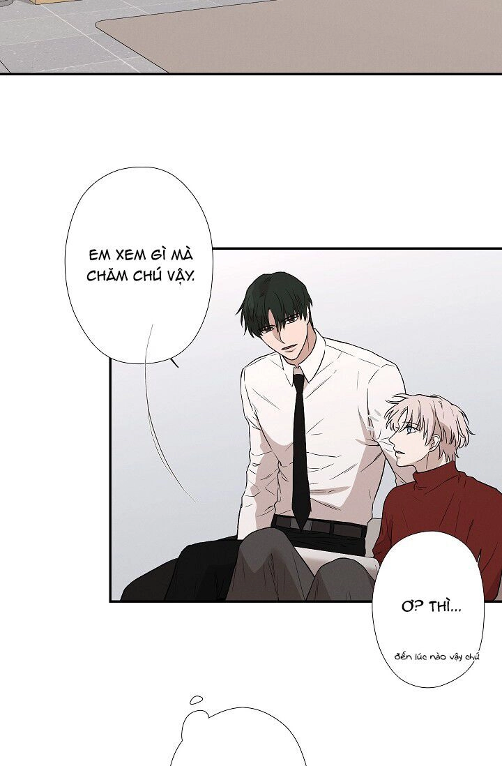 Trốn Tìm Chapter 23 - 18