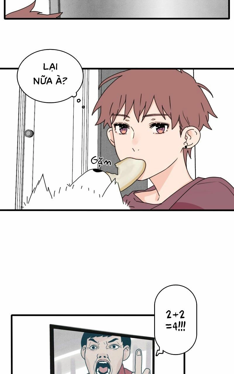 Not So Shoujo Love Story Chapter 16 - 19