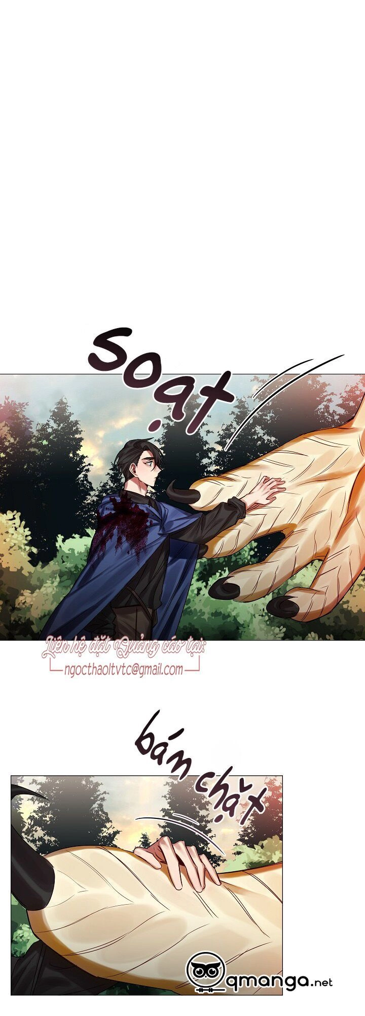 Bán Long Kỵ Sĩ Chapter 28 - 12