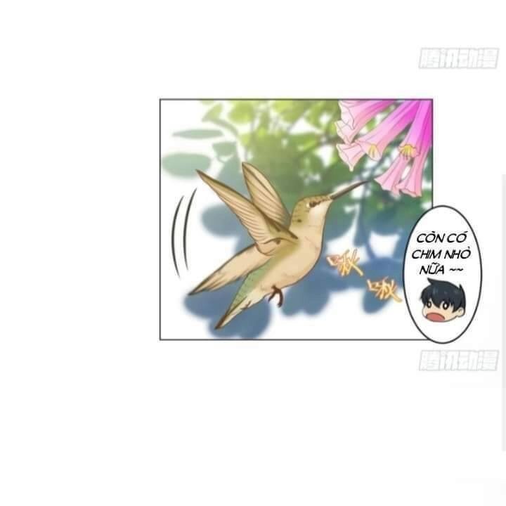 Thiên Thần Shipper Chapter 34 - 5