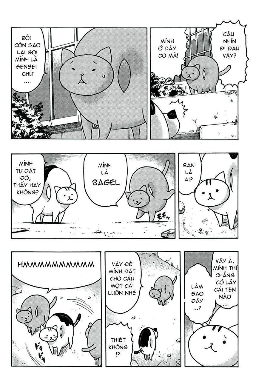 Donyatsu Chapter 1 - 11