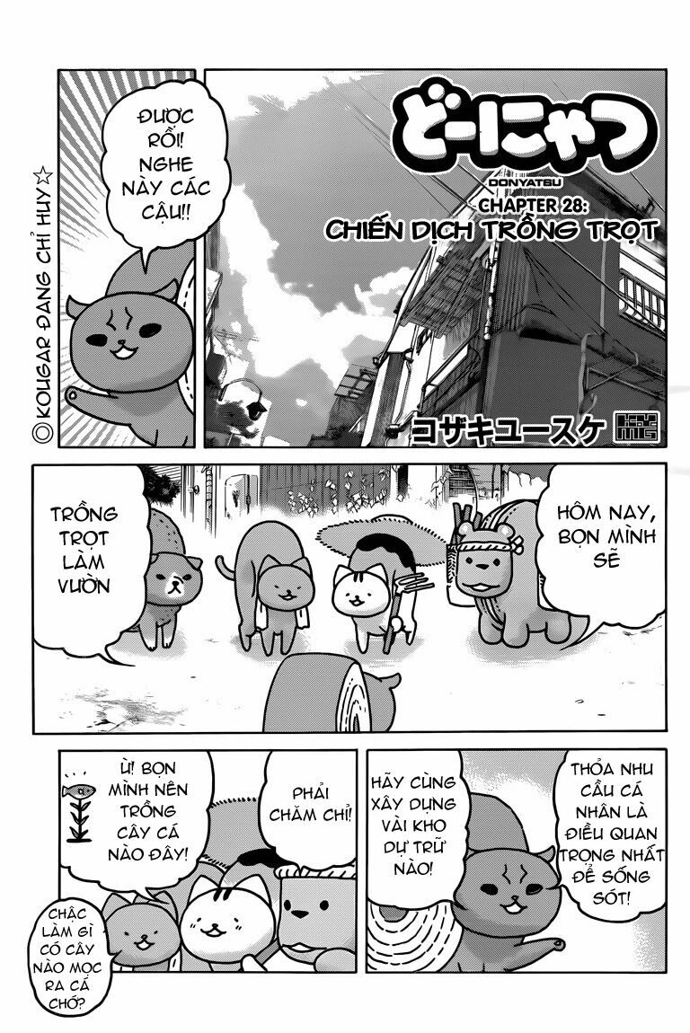Donyatsu Chapter 28 - 3