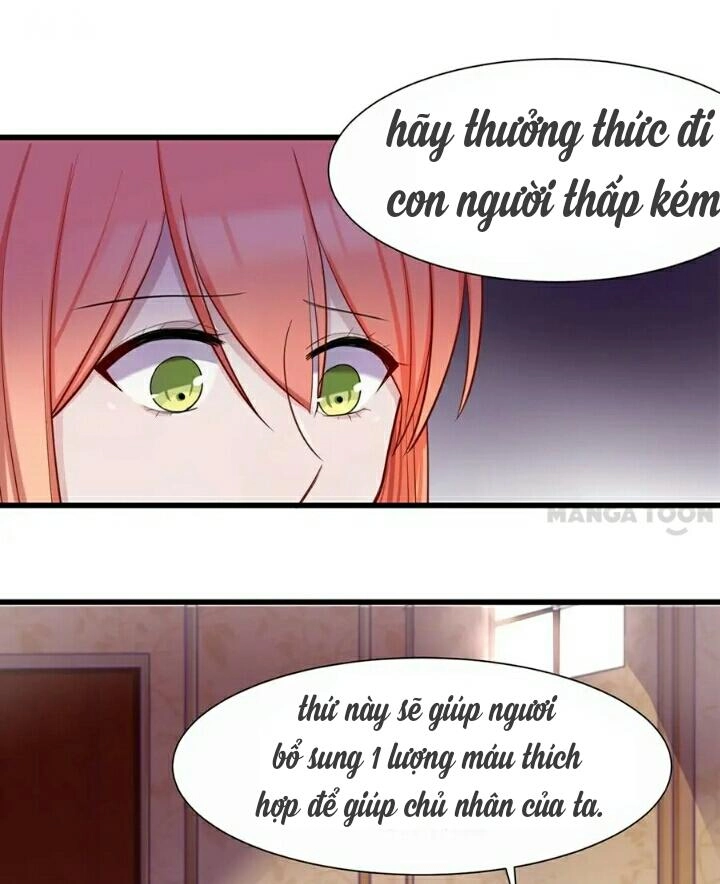 Huyết Tộc Điện Hạ Đừng Giết Ta Chapter 6.1 - 7