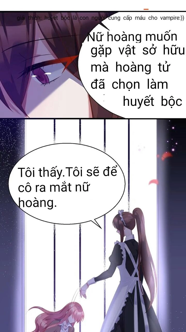 Huyết Tộc Điện Hạ Đừng Giết Ta Chapter 8.1 - 12