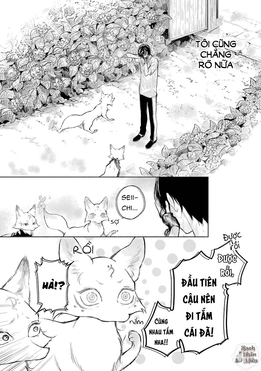 Thiên Hồ Và Phong Ấn Thuật Chapter 3 - 4