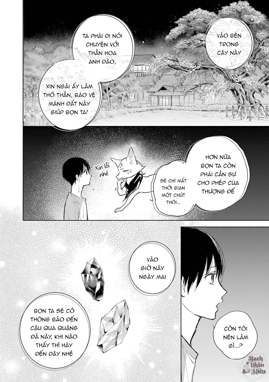 Thiên Hồ Và Phong Ấn Thuật Chapter 3 - 21