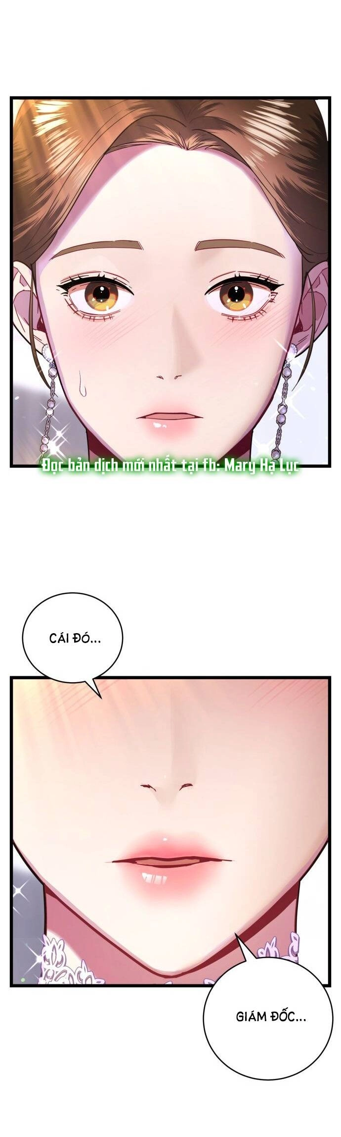 Ảo Thuật Gia Quyến Rũ Chapter 13.2 - 5