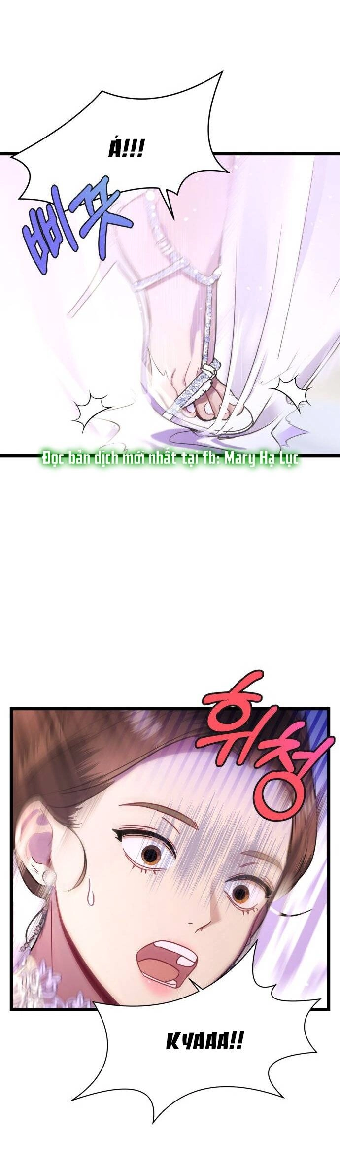 Ảo Thuật Gia Quyến Rũ Chapter 13.2 - 12