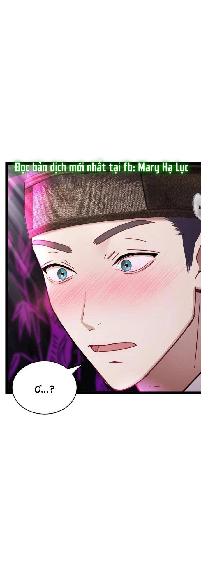 Ảo Thuật Gia Quyến Rũ Chapter 15.2 - 15