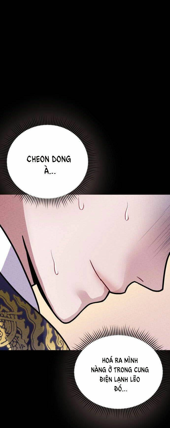 Ảo Thuật Gia Quyến Rũ Chapter 18.5 - 25