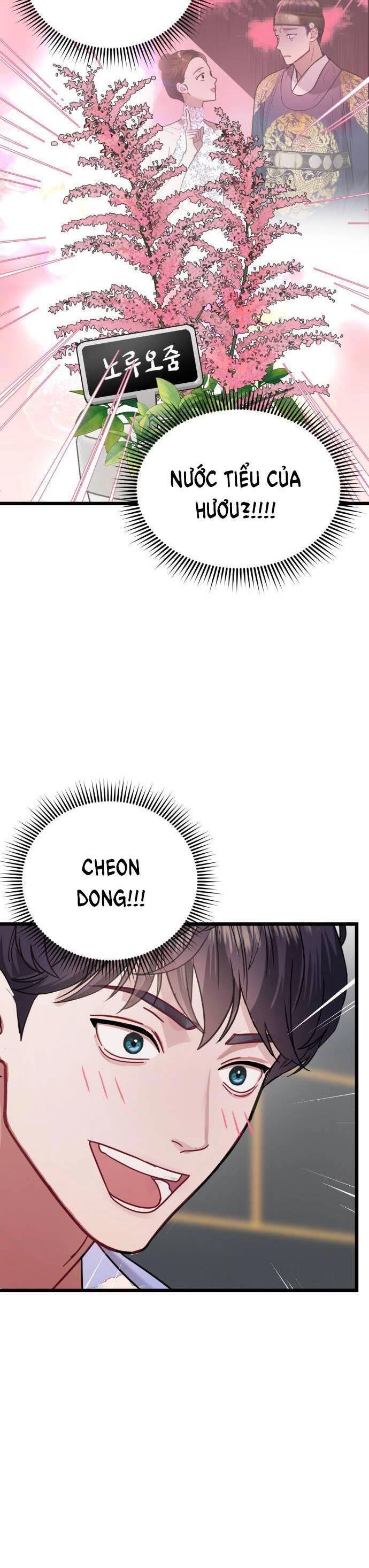 Ảo Thuật Gia Quyến Rũ Chapter 21.1 - 6