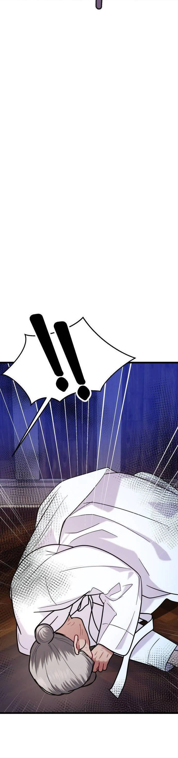 Ảo Thuật Gia Quyến Rũ Chapter 21.2 - 10