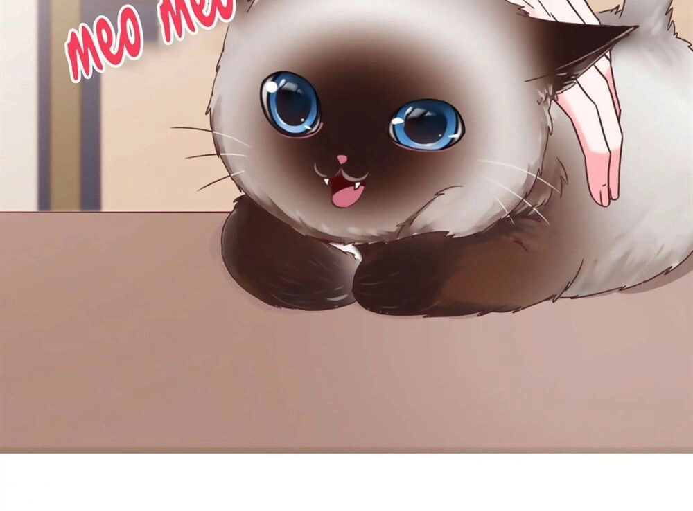 Quyến Rũ Không Thành Chapter 10 - 35