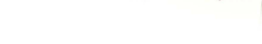 Quyến Rũ Không Thành Chapter 29 - 7