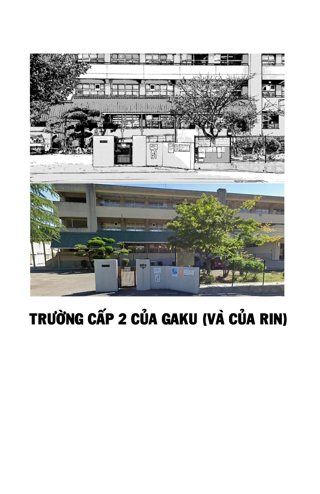 Nine Peaks Chapter 163 - 20