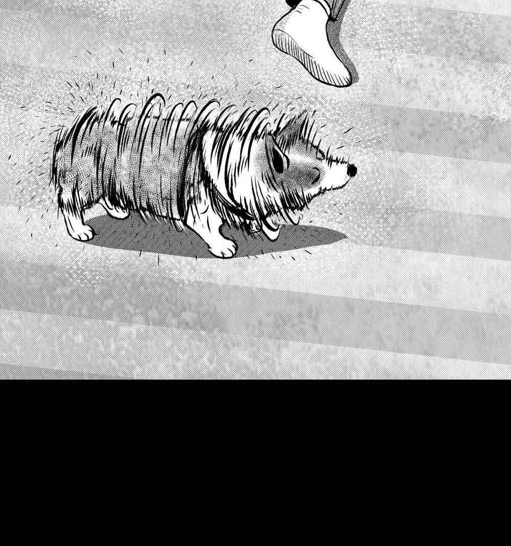 Dạ Hành Khuyển Chapter 3 - 50