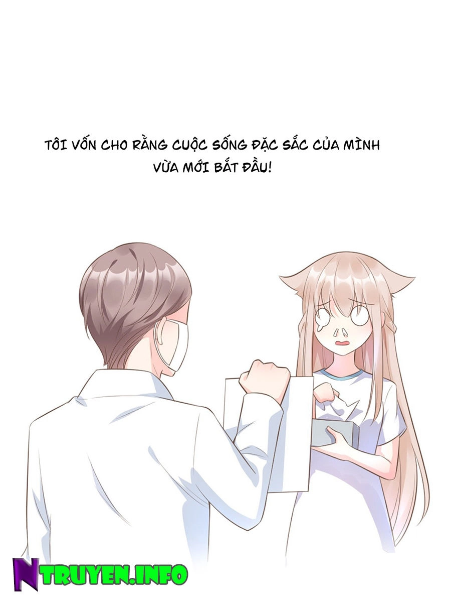 Tư Sủng Cục Cưng Bảo Bối Chapter 1 - 5