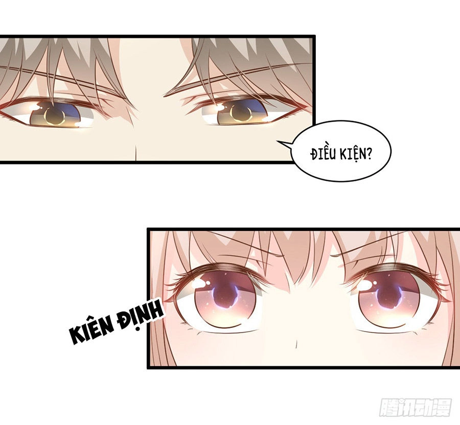 Tư Sủng Cục Cưng Bảo Bối Chapter 7 - 15