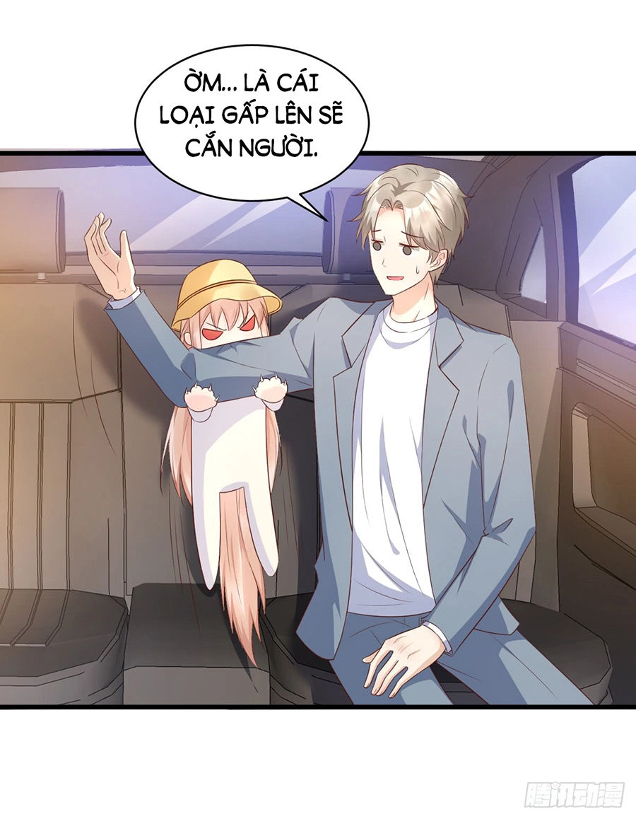 Tư Sủng Cục Cưng Bảo Bối Chapter 12 - 38