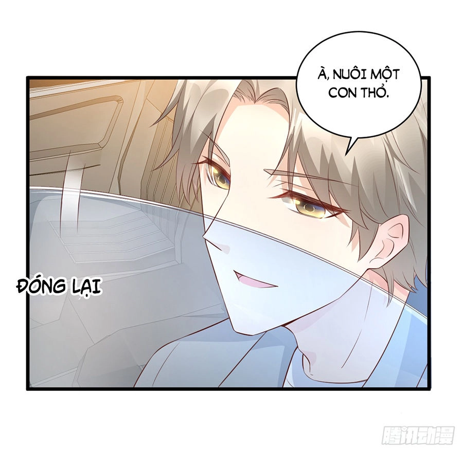 Tư Sủng Cục Cưng Bảo Bối Chapter 12 - 40