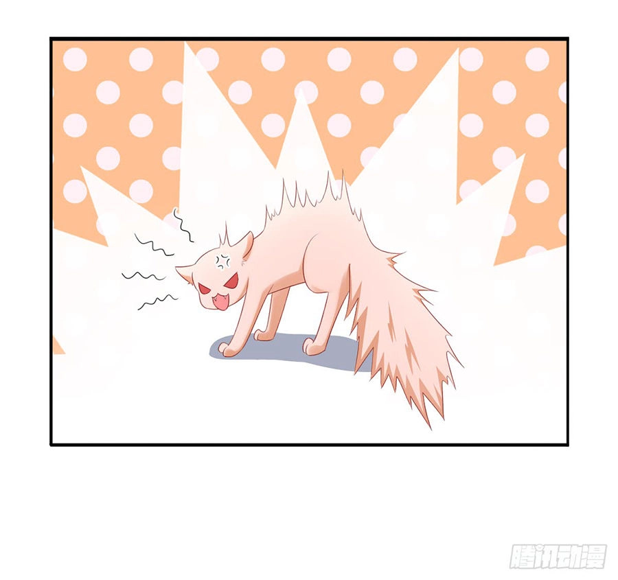 Tư Sủng Cục Cưng Bảo Bối Chapter 13 - 36