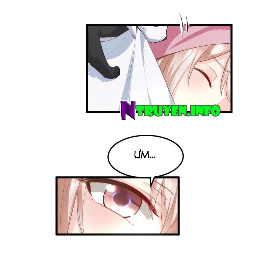 Tư Sủng Cục Cưng Bảo Bối Chapter 28 - 4