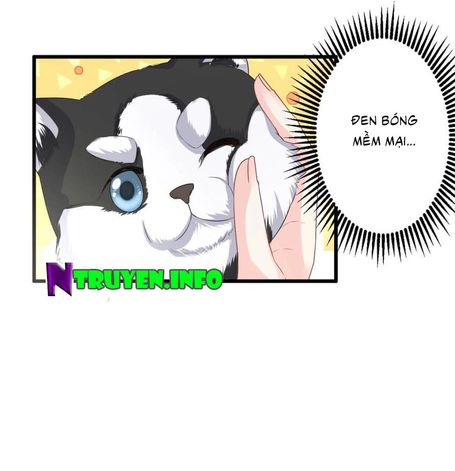 Tư Sủng Cục Cưng Bảo Bối Chapter 28 - 10