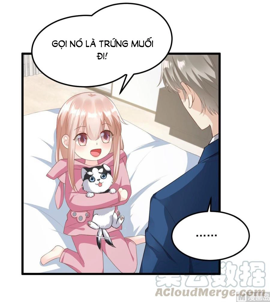 Tư Sủng Cục Cưng Bảo Bối Chapter 28 - 11