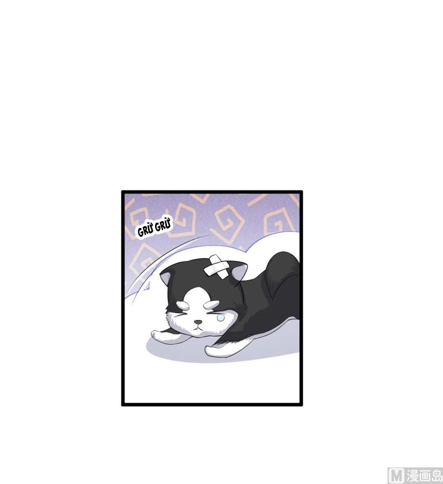 Tư Sủng Cục Cưng Bảo Bối Chapter 28 - 29