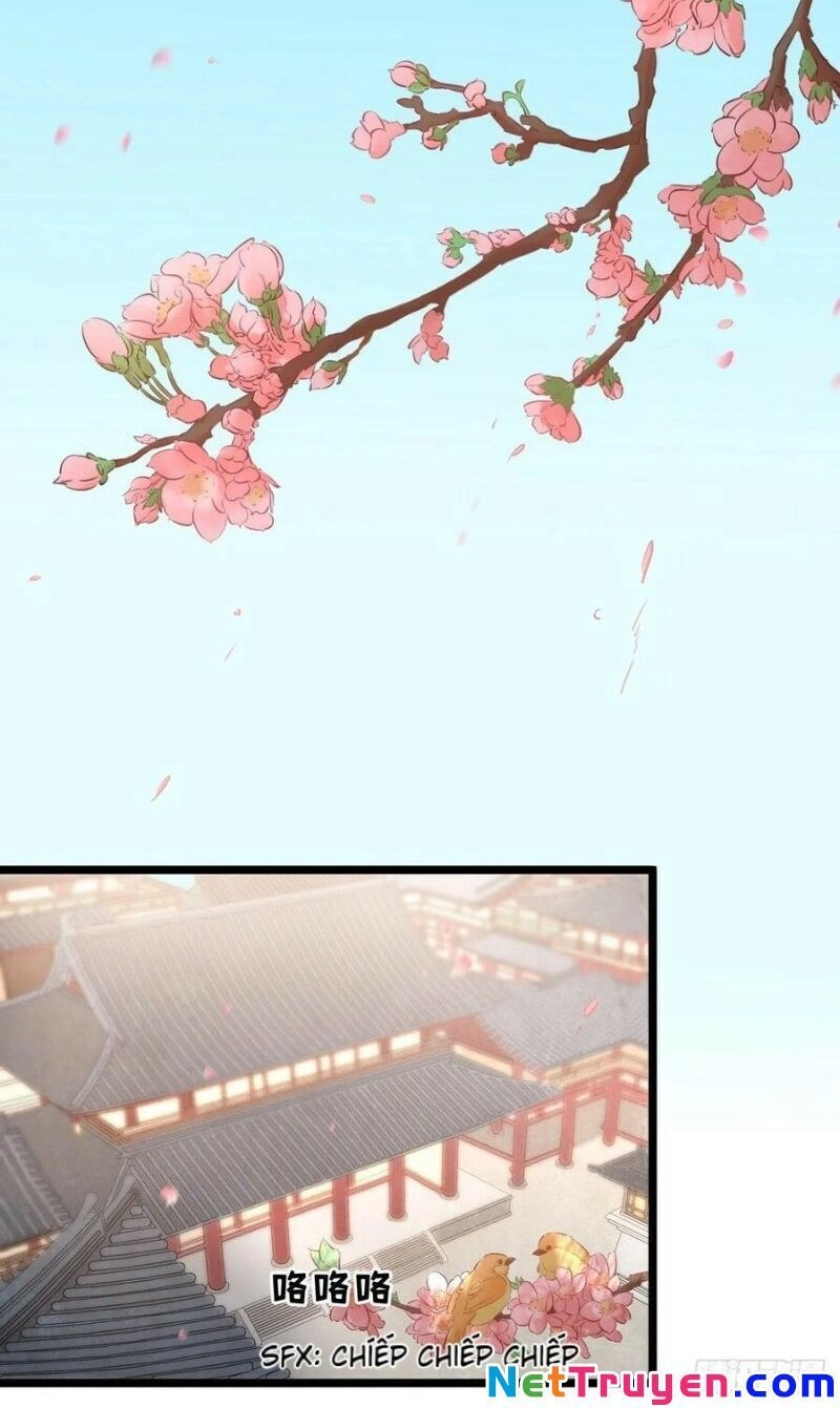 Thị Thiếp Trở Mình Bảo Điển Chapter 29 - 6