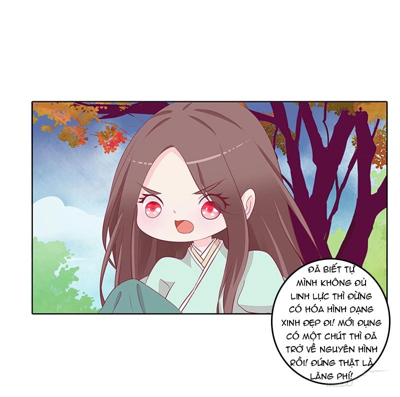 Tướng Quân Xin Xuất Chinh Chapter 41 - 22