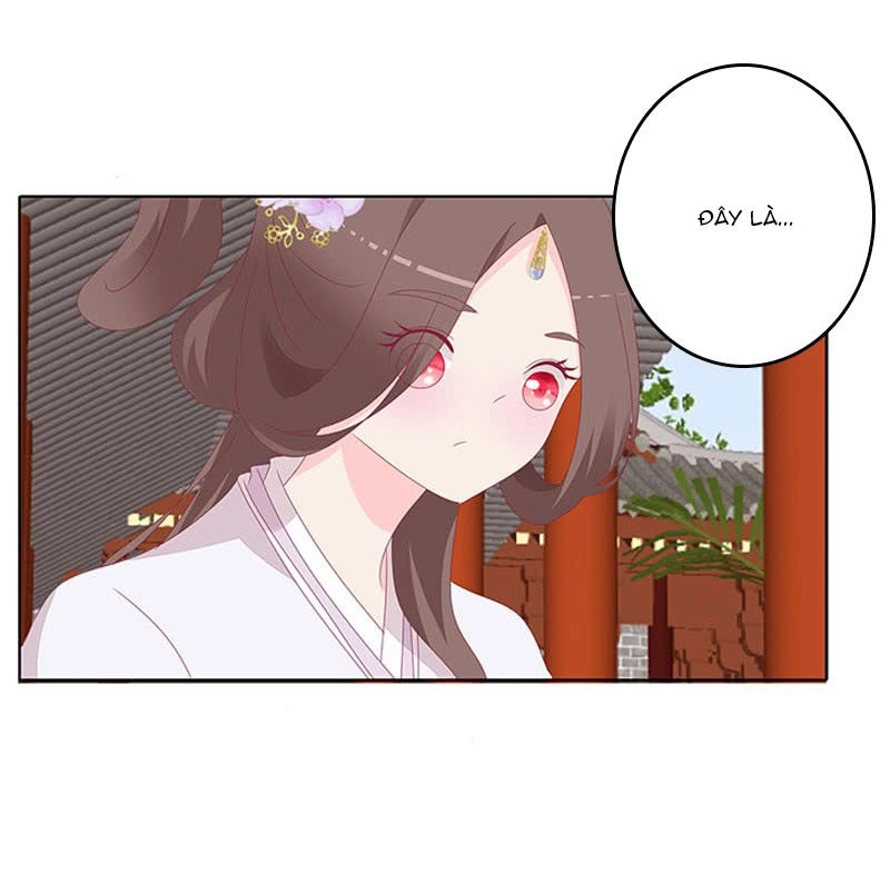 Tướng Quân Xin Xuất Chinh Chapter 67 - 20