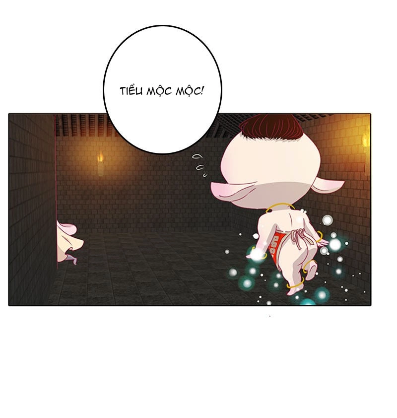 Tướng Quân Xin Xuất Chinh Chapter 76 - 24