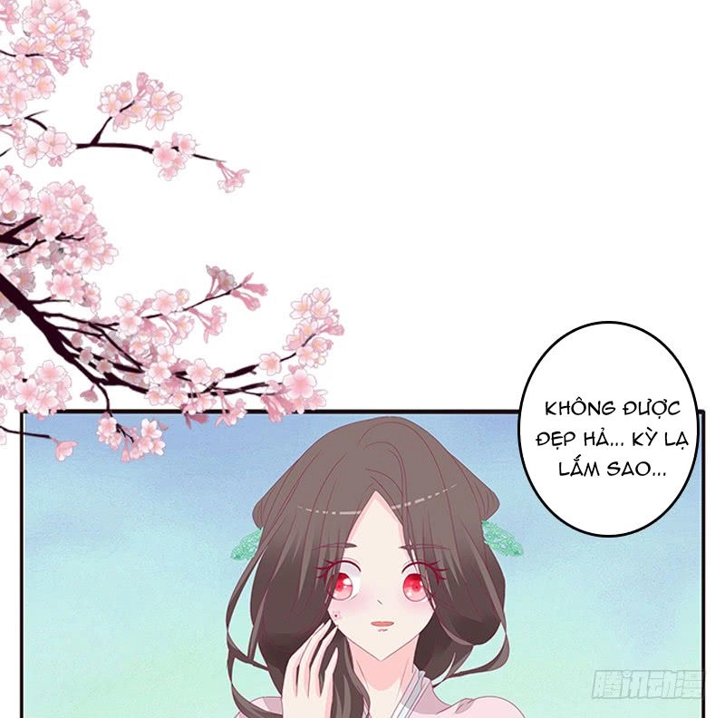 Tướng Quân Xin Xuất Chinh Chapter 104 - 19