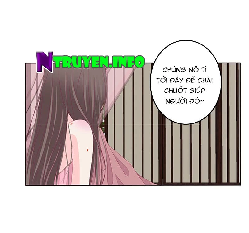 Tướng Quân Xin Xuất Chinh Chapter 111 - 8