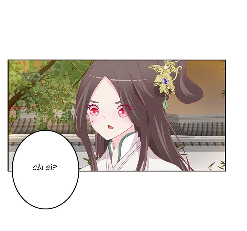 Tướng Quân Xin Xuất Chinh Chapter 115 - 3