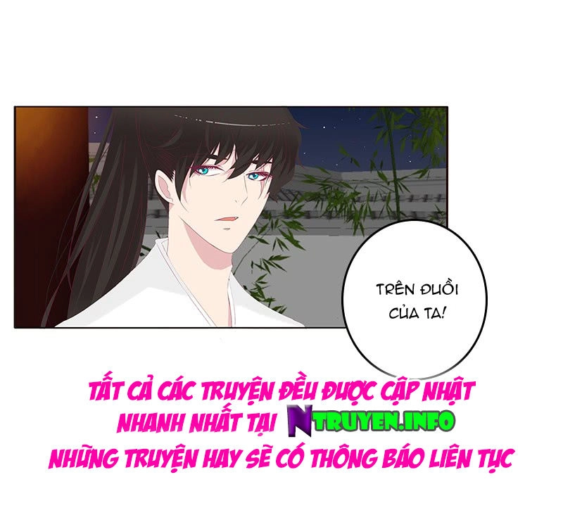 Tướng Quân Xin Xuất Chinh Chapter 115 - 16