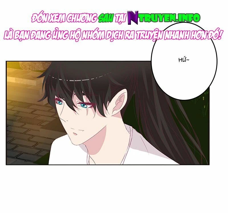 Tướng Quân Xin Xuất Chinh Chapter 117 - 16