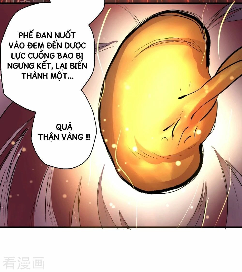 Tối Cường Đại Biểu Hoàng Kim Thận Chapter 3 - 34