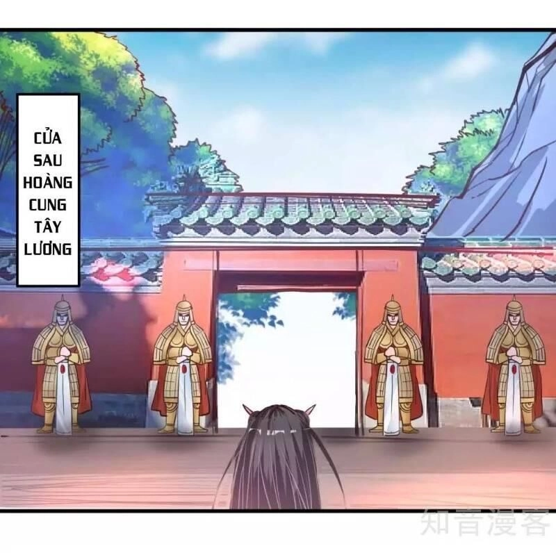 Tối Cường Đại Biểu Hoàng Kim Thận Chapter 81 - 10