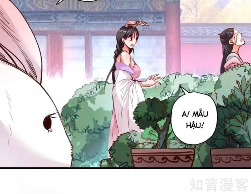 Tối Cường Đại Biểu Hoàng Kim Thận Chapter 82 - 39