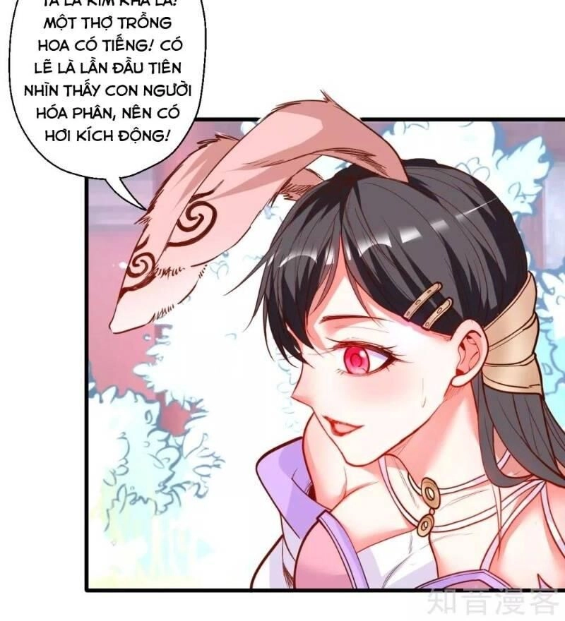 Tối Cường Đại Biểu Hoàng Kim Thận Chapter 82 - 42