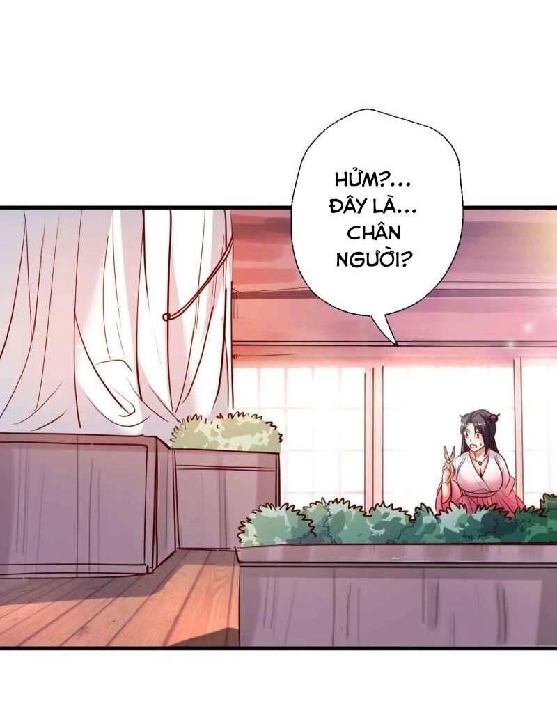 Tối Cường Đại Biểu Hoàng Kim Thận Chapter 83 - 28